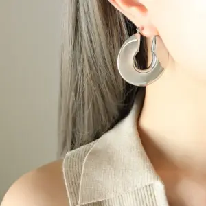 F702-Steel Earrings