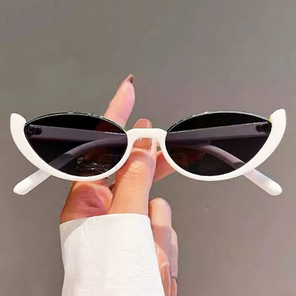 Wholesale Cross-Border New Cat-Eye Sunglasses European and American Fashion Influencer Picks Ins Glasses Simple Avant-Garde Sunglasses Mixed