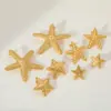 Wholesale 1 Pair Elegant Cute Artistic Pentagram 304 Stainless Steel 18K Gold Plated Ear Studs