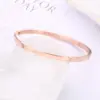Wholesale Modern Style Solid Color Stainless Steel Bangle In Bulk