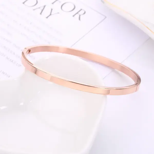 Wholesale Modern Style Solid Color Stainless Steel Bangle In Bulk