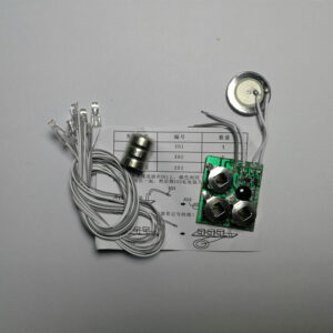 Voice control switch plus 3 batteries 5 lights