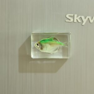 Green fish 4.4*2.9cm