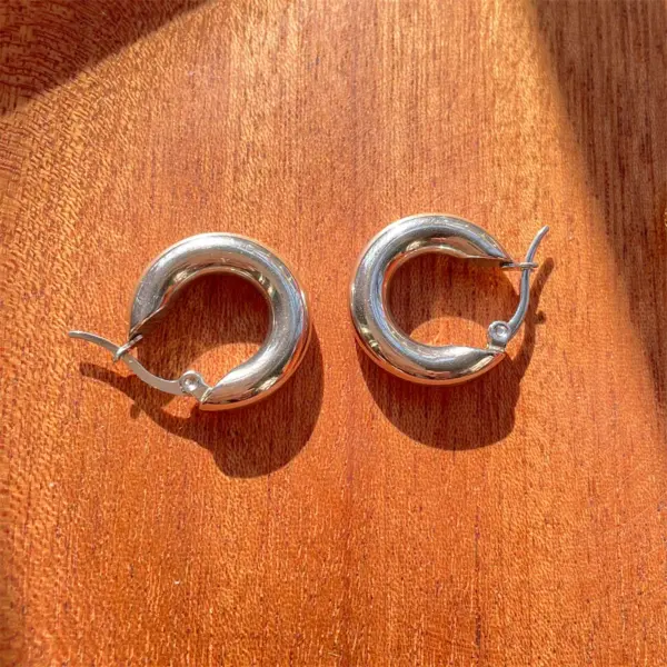 Wholesale 1 Pair Simple Style Solid Color Plating Stainless Steel Earrings