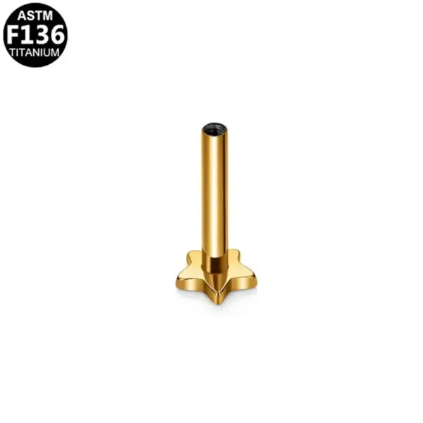 1 Piece Lip Rings Simple Style Star Heart Shape Titanium Alloy Plating 14K Gold Plated White Gold Plated Lip Rings Ear Cartilage Rings & Studs