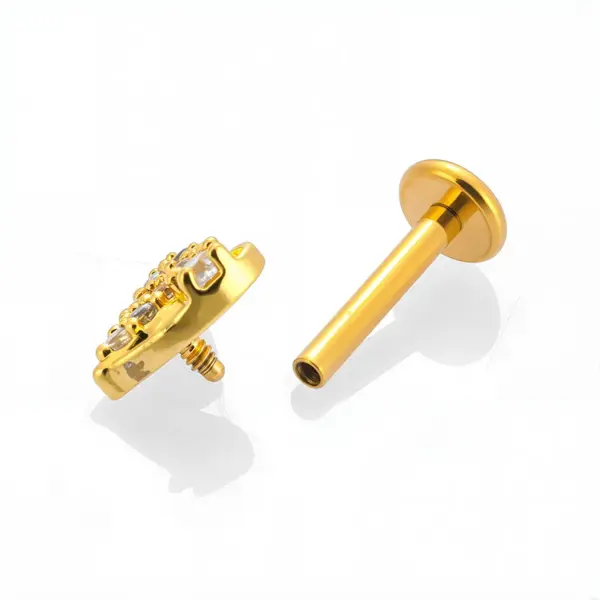 1 Piece Lip Rings Casual Nordic Style Punk Geometric Paw Print Heart Shape 316L Stainless Steel Waterproof Non Tarnish Surgical Steel Zircon Ion Plating (IP) 18K Gold Plated Lip Rings Ear Cartilage Rings & Studs Nose Rings & Studs