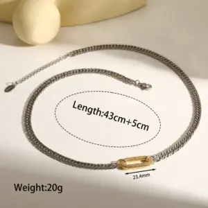 Two-tone Steel Chain