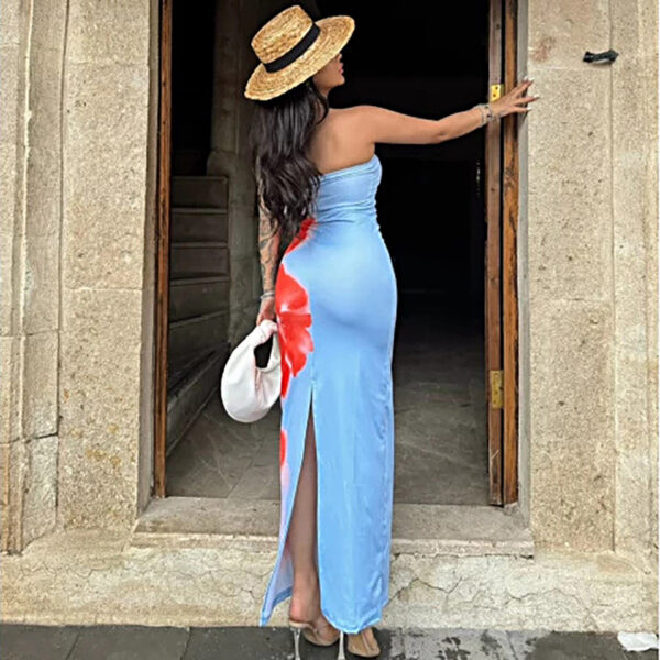 Wholesale Cross-border women's clothing Europe and the United States ins sexy slim-fit printed tube-like open hip long dress factory