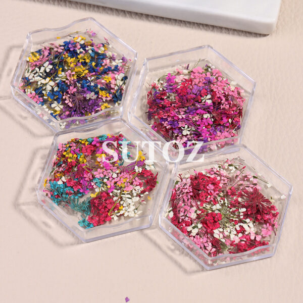 Wholesale Nail Art Dried Flower Ornaments