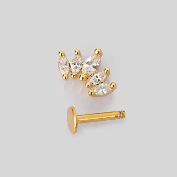 1 Piece Lip Rings Simple Style Classic Style Heart Shape Crown 316L Stainless Steel Waterproof Non Tarnish Surgical Steel Zircon Vacuum Plating K Gold Plated Lip Rings Ear Cartilage Rings & Studs