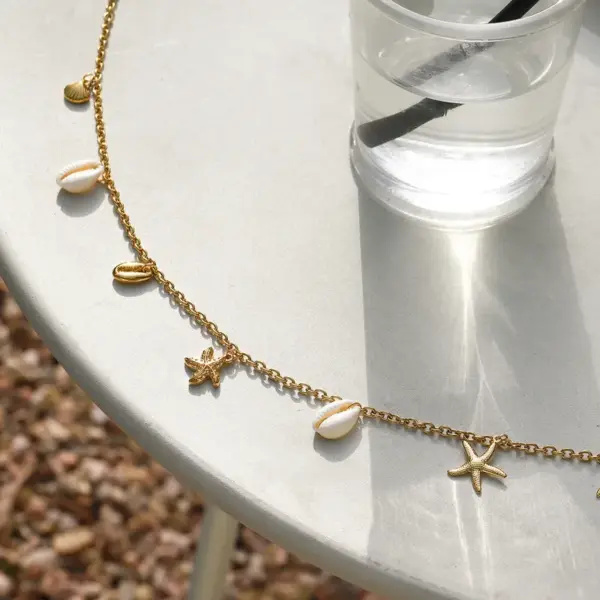Wholesale 304 Stainless Steel Starfish Conch Flower PVD Coated Real Gold Plated Casual Marine Style Modern Style Waterproof Non Tarnish Waist Chain