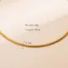 304 Stainless Steel Solid Color Vacuum Plating 18K Gold Plated Basic Simple Style . Gold Choker