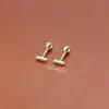 Wholesale 304 Stainless Steel Long Strip Electroplated Stone-Free 18K Gold Plated Simple Style Plating Ear Studs