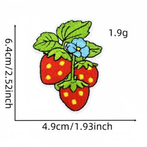 Strawberry cloth patch 14#