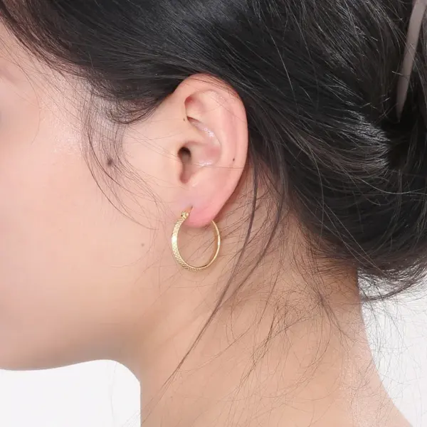 Wholesale 304 Stainless Steel Solid Color PVD Coated 18K Real Gold Plated Casual Simple Style Waterproof Non Tarnish Plating Hoop Earrings