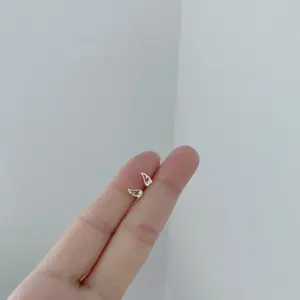 A Pair of Mini Wings
