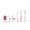 oly-5fbf791d04afd41757d8dca623a7f824 Wholesale Gothic style simulation sword axe heart organ dripping Doll Accessories