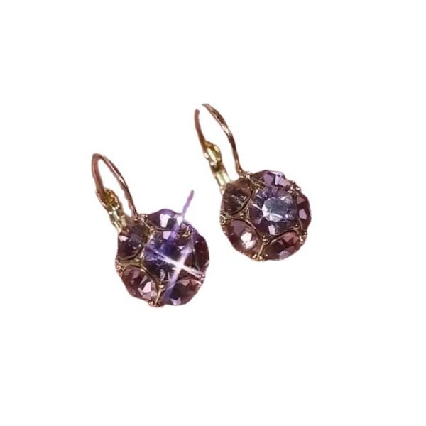 oly-5fd7199cb5cd21ce40d3d4b8a562b942 Wholesale Purple Crystal Ear Buckle Women's Exquisite Light Luxury Fashion Earrings Fashion High-end Sense Spring and Summer Earrings