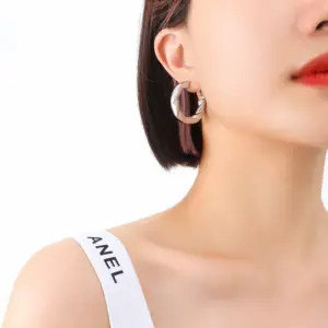 F255-Steel Small Earrings