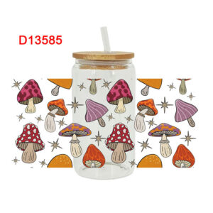 D13585