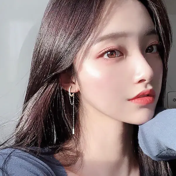 Wholesale Tassel Zircon Earrings Distinctive Circle Long Earrings Korean Internet Celebrant Slimming Earrings Square Diamond Full Diamond Chain Earrings