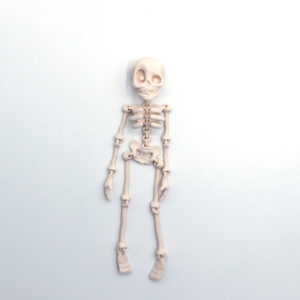 Skeleton man regular style-bone color