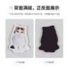 Wholesale Acrylic Pet Refrigerator Sticker Brand Custom Ornaments Pet Cat Dog Expression Shake a Shake Music to Figure
