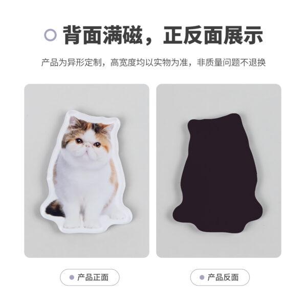 Wholesale Acrylic Pet Refrigerator Sticker Brand Custom Ornaments Pet Cat Dog Expression Shake a Shake Music to Figure