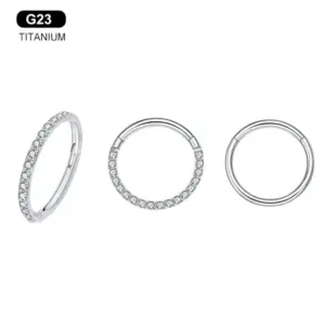 Wholesale G23 Titanium Embedded Zirconia Seamless Simple Personality Piercing Ear Bone Ring Nose Ring Body Piercing Round Design Unisex