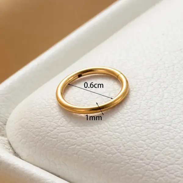 316 Stainless Steel Round IG Style Hoop Earrings For Women's