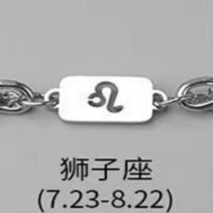 Leo necklace bracelet combination