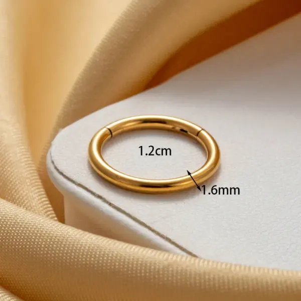 Wholesale 316 Stainless Steel Round IG Style Hoop Earrings For Women's