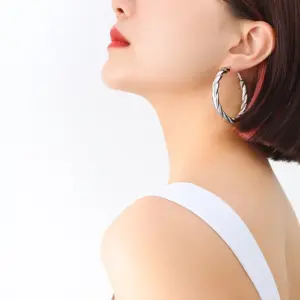 F255-Steel Large Earrings