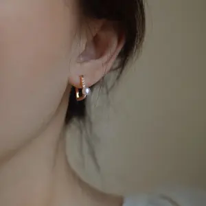 Eh1343 Ear Clip Pairs