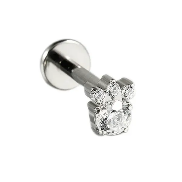 1 Piece Ear Cartilage Rings & Studs Casual Hip-Hop Snake Butterfly G23 Titanium Alloy Zircon Ion Plating (IP) 18K Gold Plated Lip