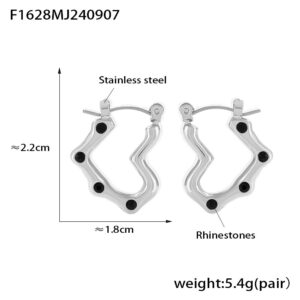 F1628-Steel black earrings
