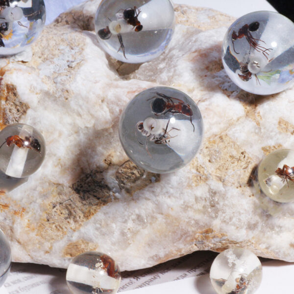 Wholesale Creative DIY beaded chains for phones, keys, and bags, featuring small insects, bees, and ants that can be strung through straight holes.