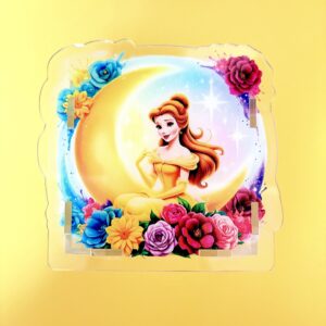 B297-princess belle pen holder