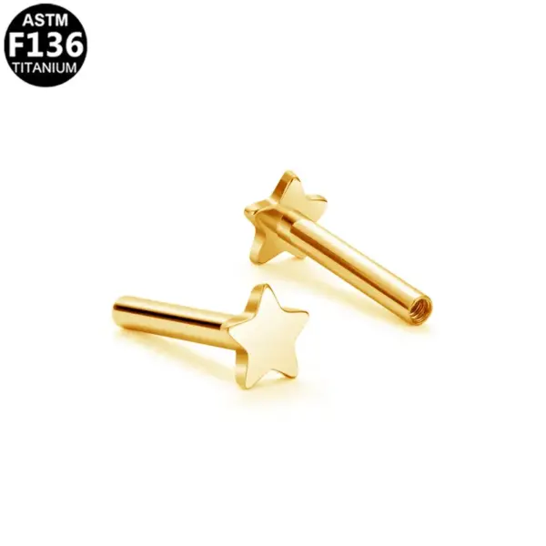 1 Piece Lip Rings Simple Style Star Heart Shape Titanium Alloy Plating 14K Gold Plated White Gold Plated Lip Rings Ear Cartilage Rings & Studs