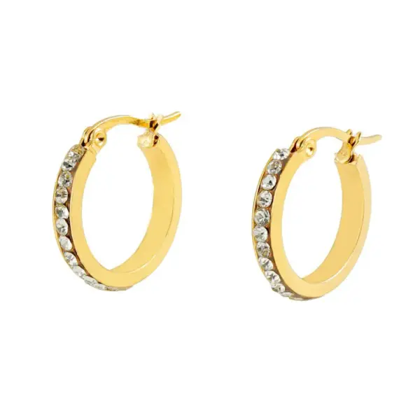 Wholesale 1 Pair Lady Geometric Inlay Titanium Steel Rhinestones 18k Gold Plated Hoop Earrings