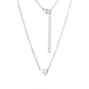 Steel Heart Necklace / Q