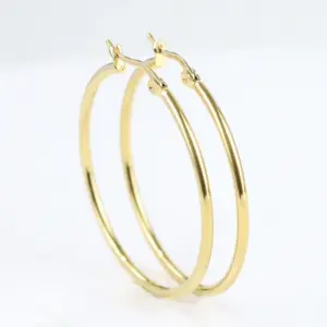 Simple Style Round Titanium Steel Plating Earrings 1 Pair