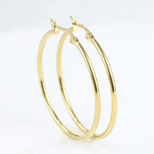 Simple Style Round Titanium Steel Plating Earrings 1 Pair