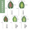 Wholesale Cross-border Artificial Simulated Green Plants, Interior Decoration, Taro Leaves, Green Plant Wall Aessories, Fake Leaves, Wedding Arrangements, Spring Rain Leaves