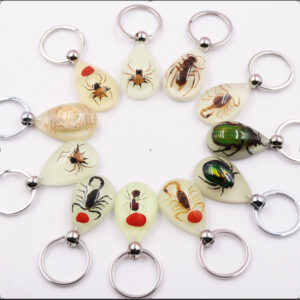 6 mixed insects (not specified) / 39mm*25mm*15mm