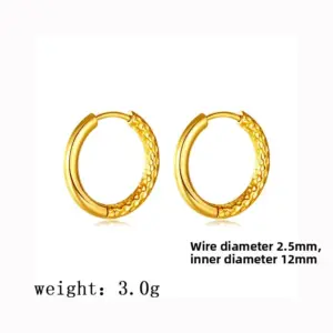 【XKE0051】Half Circle Starry Sky Earrings / Gold