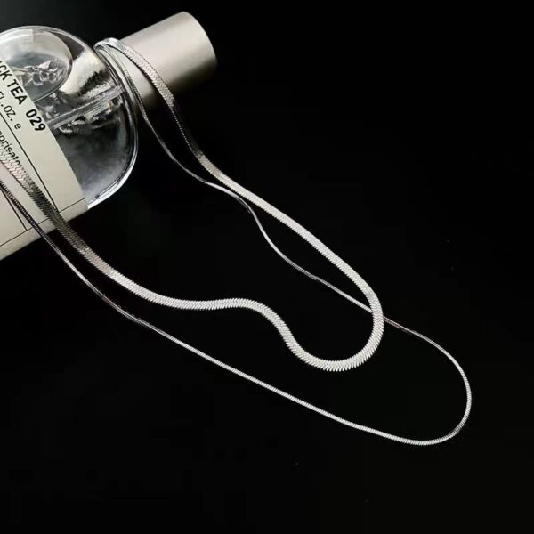 Wholesale Simple Double Layer Stacked Necklace for Women Ins Trendy Personalized Hip-Hop European and American Snake Bone Chain Elegant Internet Celebrity Short Clavicle Chain