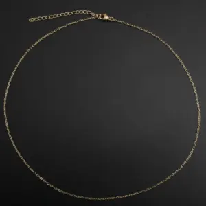 Wholesale Jewelry Simple Style Solid Color 304 Stainless Steel Gold Plated Necklace