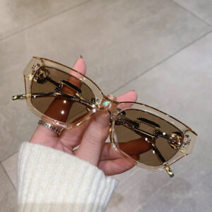 Wholesale Europe and the United States cross-border personality hip-hop glasses leg chain sunglasses fashion polygon small frame trend street sunglasses