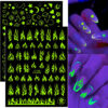 Wholesale Luminous nail stickers